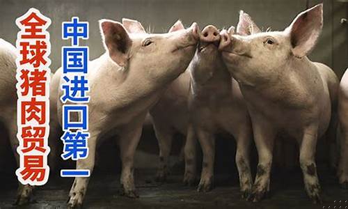 猪肉期货实况视频直播平台(猪肉期货lh)_https://www.gen-fastener.com_郑商所_第1张