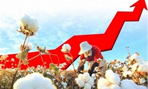 棉花期货直播最新(棉花期货2021)_https://www.gen-fastener.com_上期所_第1张