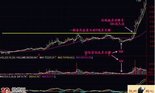 炒股持续盈利高手(我是如何炒股持续盈利)_https://www.gen-fastener.com_中金所_第1张