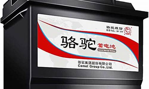 正宗骆驼牌电瓶哪里出的(骆驼牌电瓶质量好吗)_https://www.gen-fastener.com_中金所_第1张