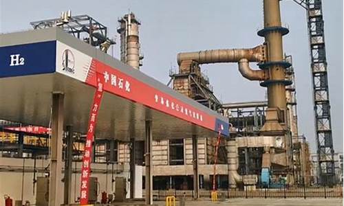 山东新能源燃料厂家(山东新能源燃料厂家电话)_https://www.gen-fastener.com_郑商所_第1张