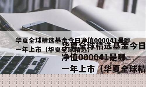 基金000041今日走势(基金000041的走势)_https://www.gen-fastener.com_广期所_第1张