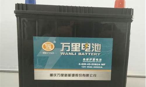 中国最好的电池品牌有哪些(中国最好的电池是哪家)_https://www.gen-fastener.com_中金所_第1张