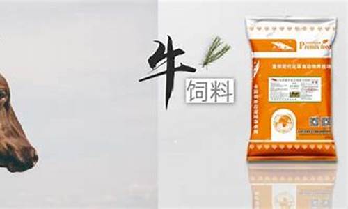 600斤肉牛饲料配方(600斤肉牛饲料配方视频)_https://www.gen-fastener.com_广期所_第1张